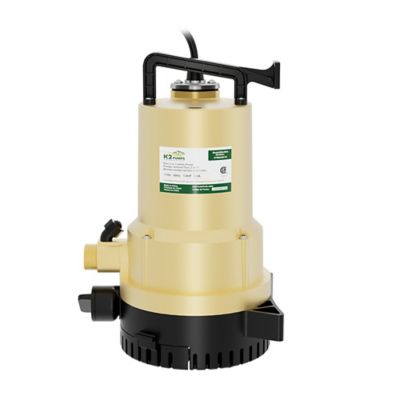 Image showing  1/4 HP 115V Thermoplastic Duo 2-in-1 Utility Pump