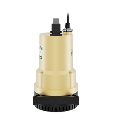 Image showing 6 th K2 Pumps 1/4 hp 115 V Thermoplastic Duo 2 in 1 Utility Pump