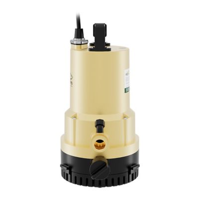 Image showing 7 th K2 Pumps 1/4 hp 115 V Thermoplastic Duo 2 in 1 Utility Pump