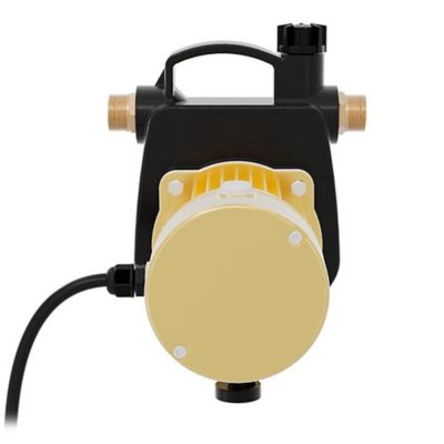 Image showing  1/2 HP 115V Electric Cast Iron Non-Submersible Transfer Pump, 25 GPM