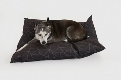 Jax & Bones Plushy Velour Pillow Dog Bed