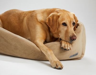 Image showing  Luxurious Orthopedic Oval Cuddler