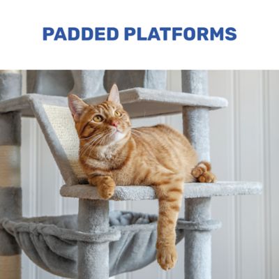 Image showing  6 ft. Three Tower Climbing Cat Tower