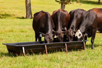 Image showing  10 ft. Feed Bunk Frame with Poly Liner