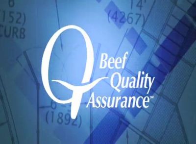 Image showing  10 ft. Feed Bunk Frame with Poly Liner