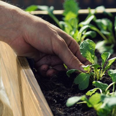 Image showing 7 th Veikous Cedar Raised Garden Bed with Lockable Wheels and Liner, 47 x 23 x 33in.