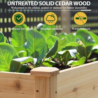 Image showing  Cedar Raised Garden Bed Elevated Planter Box with Drainage Holes, 47 in. x 23 in. x 30 in.