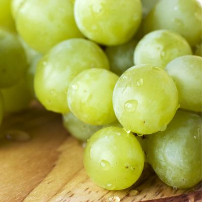 Image showing  Grapes Marquis Seedless, Set of 1 Plant, 84548