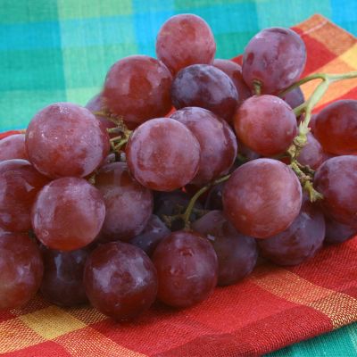 Image showing  Grapes Einset Seedless, Set of 1 Plant, 84550