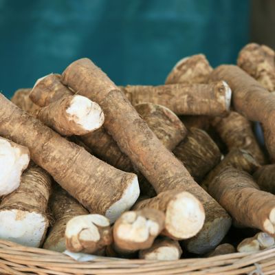 Van Zyverden Horseradish, Set of 5 Plants, 84555