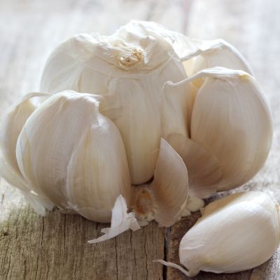 Image showing  Garlic Italian Late, Set of 5 Plants, 84556