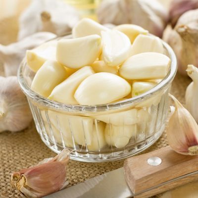 Image showing  Garlic Italian Late, Set of 5 Plants, 84556