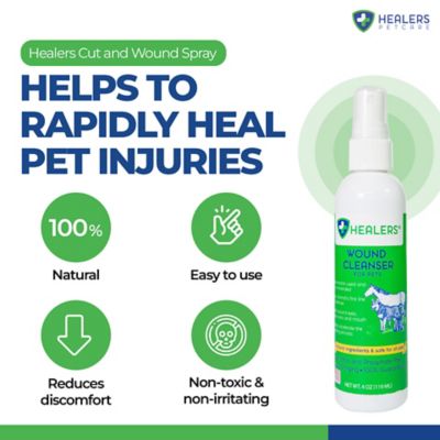 Image showing 5 th Healers PetCare Wound Cleanser for Pets, 8 oz.