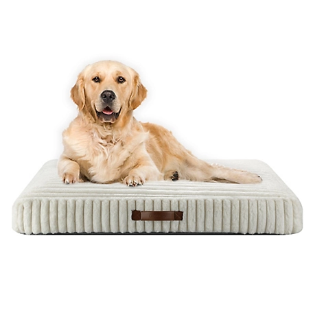 Retriever Ivory Corduroy Gusset Pet Bed, 36X27 at Tractor Supply Co.