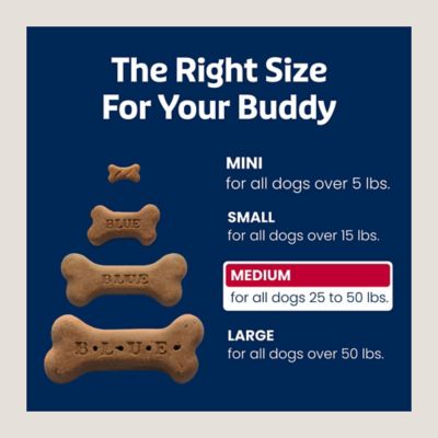 Image showing 5 th Blue Buffalo Bones Beef Recipe Medium Biscuits Dog Treats, 16 oz.