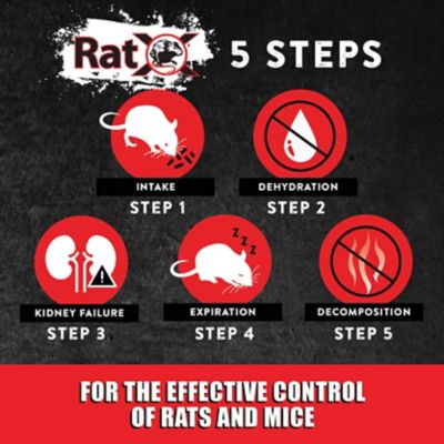 Image showing  Ready-to-Use Non-Toxic Rat and Mice Trays, Effective Against All Species of Rats and Mice, 4-Pack