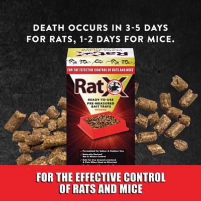 Image showing  Ready-to-Use Non-Toxic Rat and Mice Trays, Effective Against All Species of Rats and Mice, 4-Pack