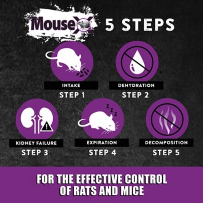 Image showing  Ready-to-Use Rat and Mice Trays, Eliminates All Species of Rats and Mice, 4-Pack