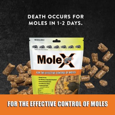 Image showing  8 oz. Non-Toxic Mole Killer Pellets, Effective Against All Species of Moles