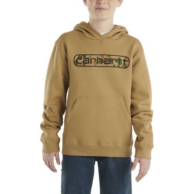 Carhartt force extremes clearance signature graphic hooded sweatshirt