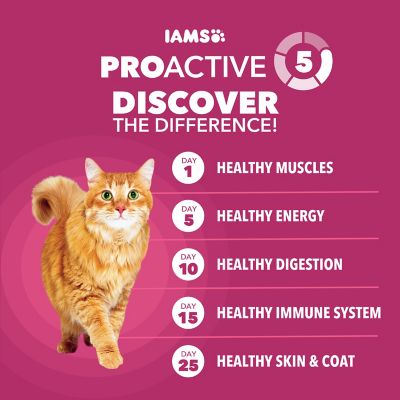 Image showing  ProActive Health Adult Indoor Urinary Tract Health Dry Cat Food with Chicken