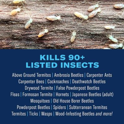 Image showing  40 oz. Carpenter Ant and Termite Concentrate Killer Plus
