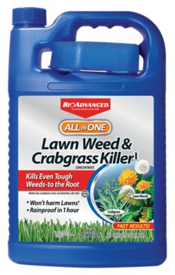 BioAdvanced All in One Lawn Weed & Crabgrass Killer I Concentrate; 1 gal., 704190A