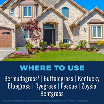 Image showing  1 gal. All in One Lawn Weed and Crabgrass Killer I, Concentrate