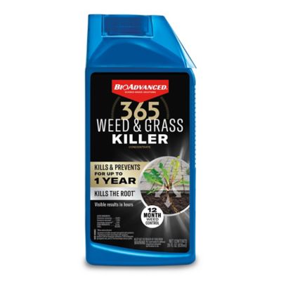 BioAdvanced 28 oz. 365 Weed and Grass Killer, Concentrate