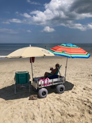 Image showing 9 th Kahuna Wagons Big Kahuna Beach Wagon, ALUM115