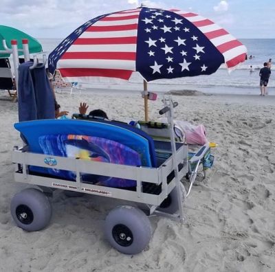 Image showing 9 th Kahuna Wagons Big Kahuna Beach Wagon-Uv Bed, ALUM315