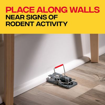 Image showing  Power Kill Rat Trap, 1-Pack