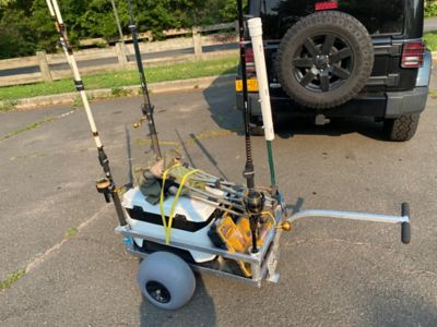 Image showing  Bimini Beach Wagon with Retractable Hitch