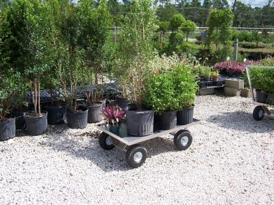 Image showing 5 th Kahuna Wagons Heavy Duty Large Aluminum Pull Wagon, ALUM003