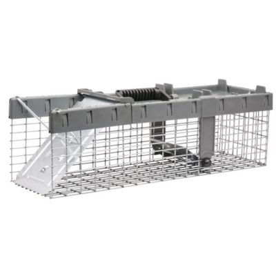Havahart Small 1-Door Humane Live Catch and Release Animal Trap for Squirrels, Weasels, Chipmunks, & Small Animals