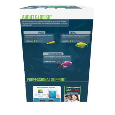 Image showing  5 Gallon Aquarium Kit