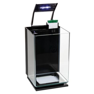 Image showing  5 Gallon Aquarium Kit