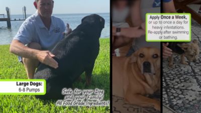 Image showing  K9 Flea & Tick Support, 8 oz.