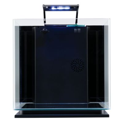 Image showing 5 th GloFish Aquarium LED Kit, 10 gal.