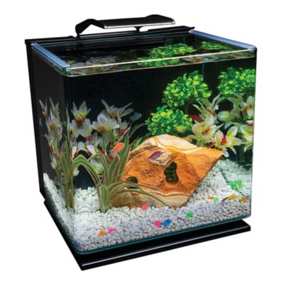Image showing 6 th GloFish Aquarium LED Kit, 10 gal.