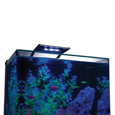 Image showing 7 th GloFish Aquarium LED Kit, 10 gal.
