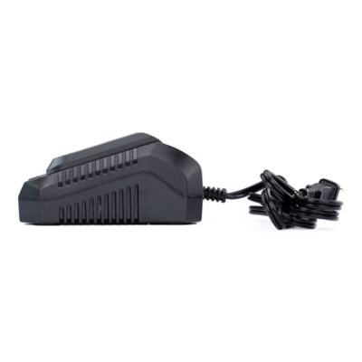 Image showing  Cordless 20 Volt 2.0A Fast Charger, WB20V2AC