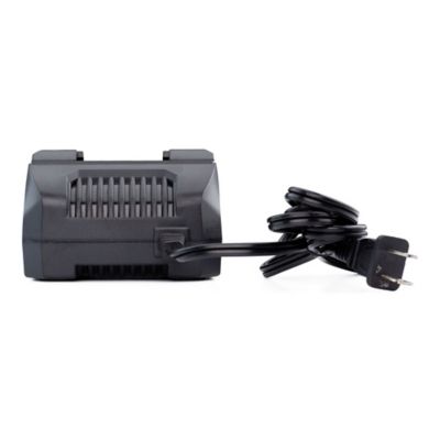Image showing  Cordless 20 Volt 2.0A Fast Charger, WB20V2AC