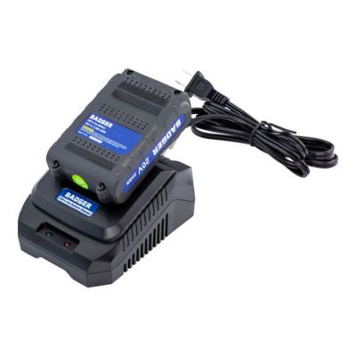 Image showing  Cordless 20 Volt 2.0A Fast Charger, WB20V2AC