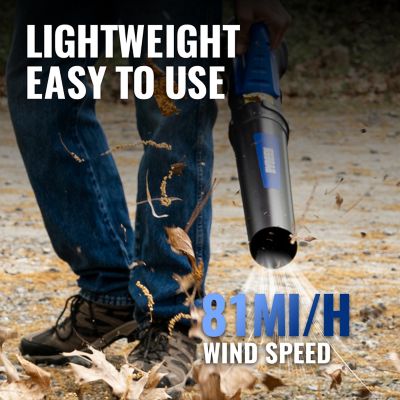 Image showing  300 CFM 20V Cordless Handheld Leaf Blower, Trimmer and Edger Kit, Battery and Charger Included