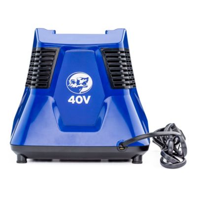 Image showing  Cordless 40 Volt 5.1A Fast Charger, WB40V5.1AC
