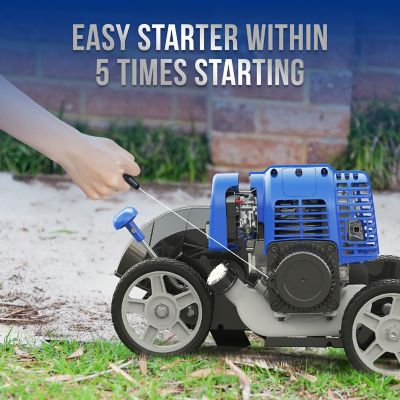 Image showing  9 in. 31cc Gas Walk-Behind Edger