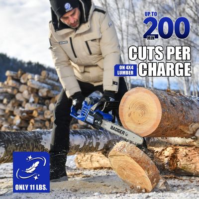 Image showing  16 in. 40V Cordless Chainsaw, Battery and Charger Included