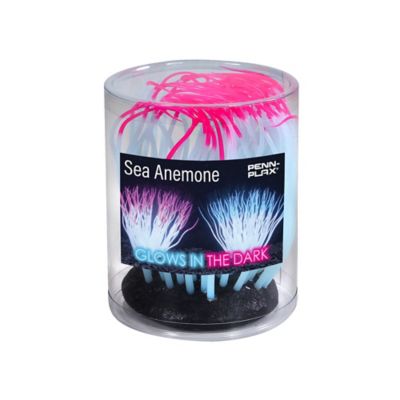 Image showing  Pink Silicone Sea Anemone