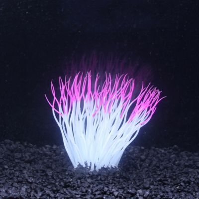 Image showing  Pink Silicone Sea Anemone